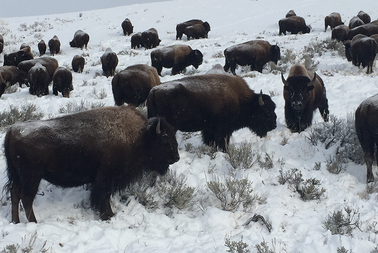 Corporate Partnerships